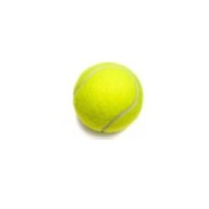 PELOTA DE TENIS TSP 